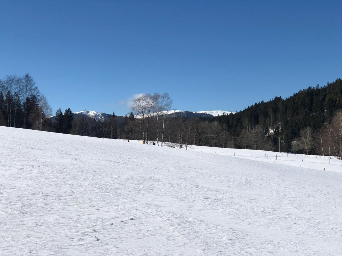 Gaestehaus Lickert Familie Dreher Хинтерцартен Экстерьер фото