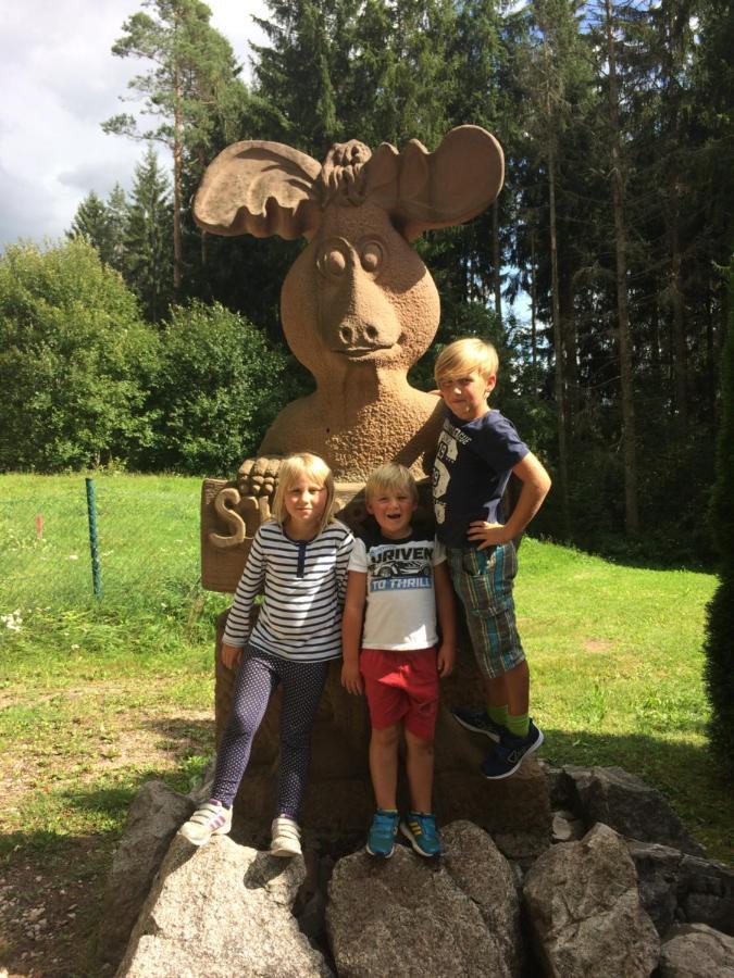 Gaestehaus Lickert Familie Dreher Хинтерцартен Экстерьер фото